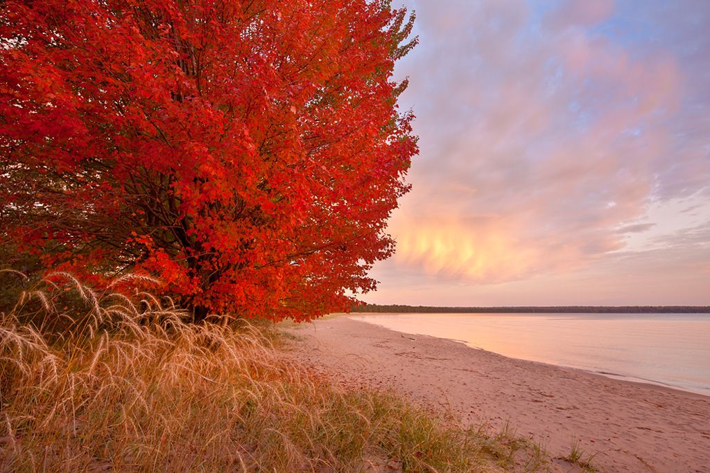 Showcasing the fall colors of Apostle Island National Lakeshore, with a bright red bush near the beach.