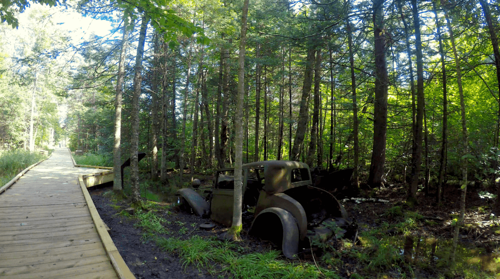 Best Hikes in Apostle Islands: Town of Shaw remnants