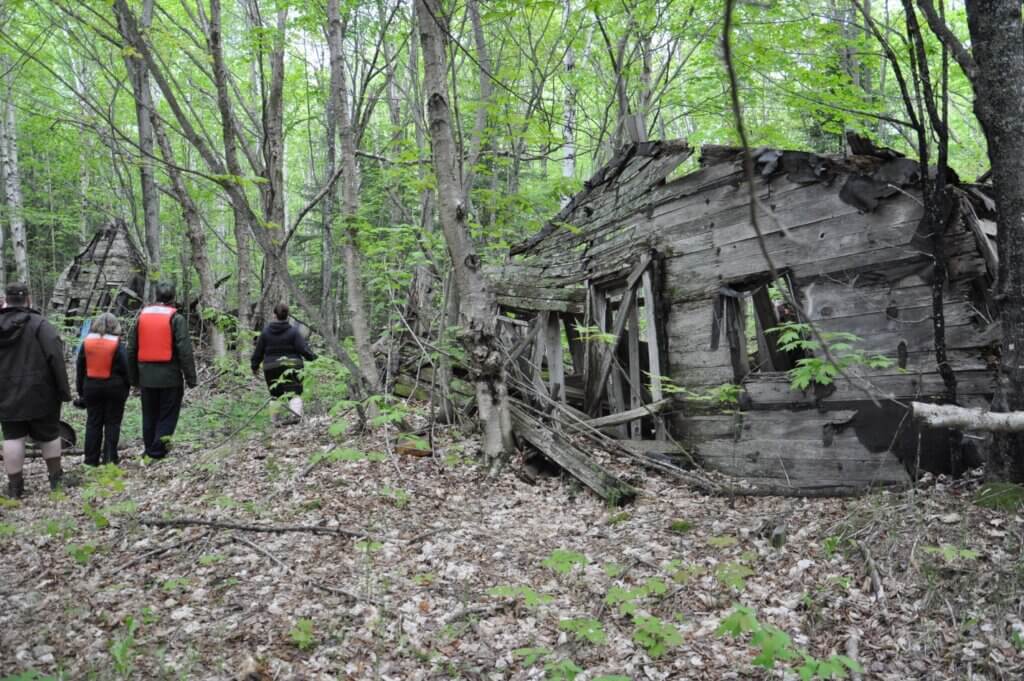 Best Hikes in Apostle Islands: Outer Island old logging camp