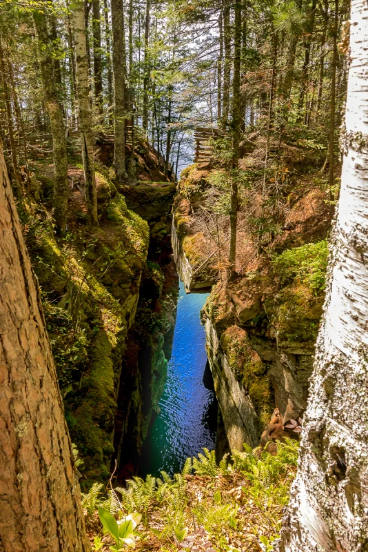 Best Hikes in Apostle Islands: Wooded trail